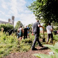 Get Involved with Volunteer Gardening Sessions