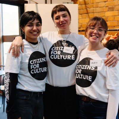 Citizens for Culture - Report