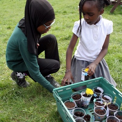 Gardening workshops