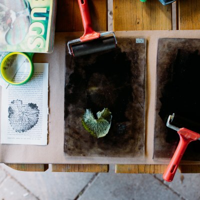 Nature & Art for Wellbeing Course 