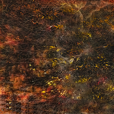 Exhibition Preview - Ismaili Rockpools