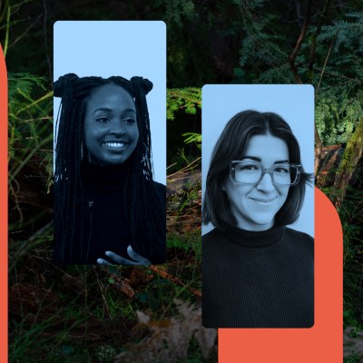 Phylum Artist Talks Vol. I